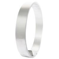 Stainless Steel Fixing Strip